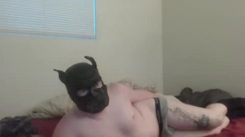 puptav online show from March 5, 1:01 am