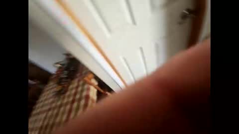 purdyguy7777 online show from February 5, 5:53 pm