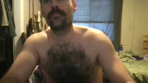 Snapshot of purple_collij_prof chatting on November 3, 12:02 am Purple online show from November 3, 12:02 am