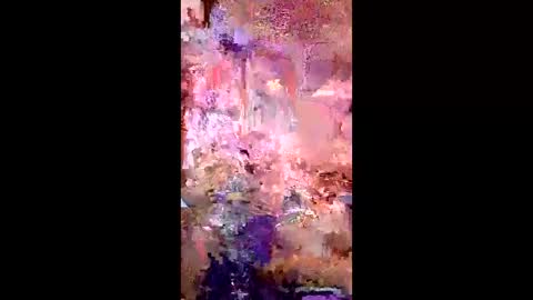 pussycat1331 online show from April 22, 7:44 am