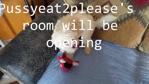 Rick online show from February 26, 5:07 pm