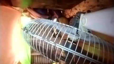 pussywetfantasy69xxx online show from April 23, 12:56 am