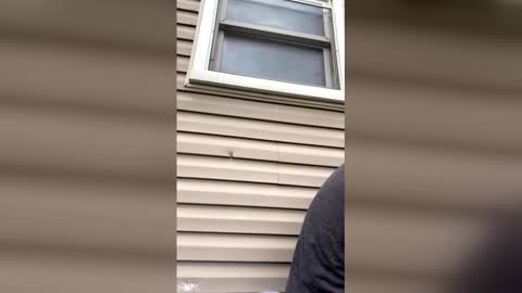 pyrex8 online show from April 13, 8:58 pm