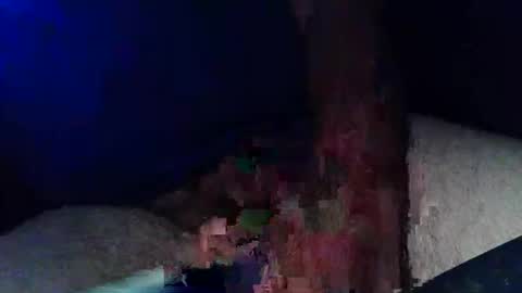 pyrichar31 online show from November 4, 1:05 am