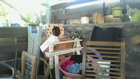 Snapshot of python974 chatting on January 2, 2:33 am Python online show from January 2, 2:33 am