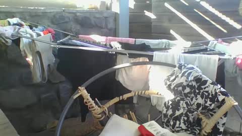 Snapshot of python974 chatting on January 10, 2:57 am Python online show from January 10, 2:57 am