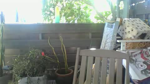 Snapshot of python974 chatting on February 2, 4:05 am Python online show from February 2, 4:05 am