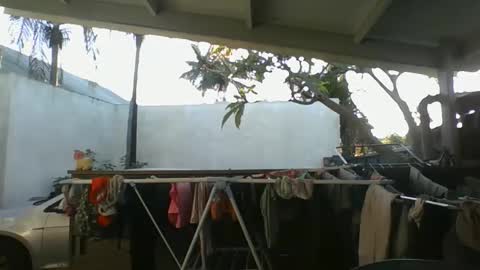 Snapshot of python974 chatting on October 9, 2:42 am Python online show from October 9, 2:42 am