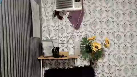 JOY online show from September 10, 11:05 pm