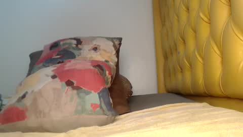 valdonte online show from November 20, 2:12 am