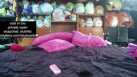 Sky Burrito online show from October 18, 11:38 pm