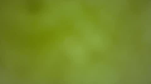 quinnxx online show from February 22, 6:35 am