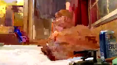 rabidsquirrell online show from February 5, 12:53 am