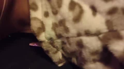 Snapshot of rabit_snake chatting on October 28, 3:10 am Rabbit Snake online show from October 28, 3:10 am