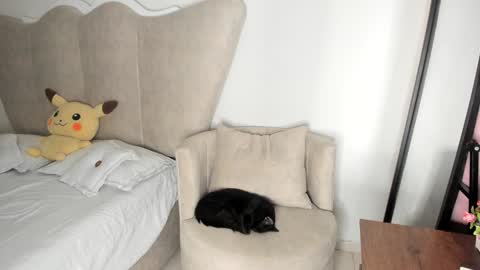 Snapshot of rachaeldeckard chatting on December 17, 8:12 am natalia - online show from December 17, 8:12 am