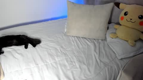 Snapshot of rachaeldeckard chatting on January 28, 9:30 am natalia - online show from January 28, 9:30 am