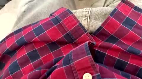 rad2615782 online show from February 10, 10:19 am