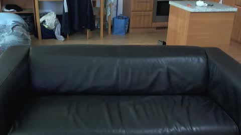 rafaelosteel online show from November 1, 1:07 am