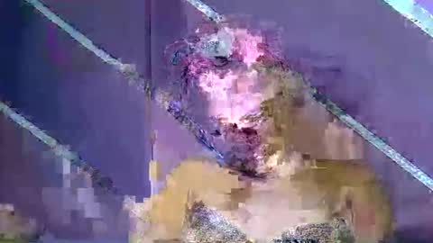 rainbow baby26 online show from March 7, 10:29 pm