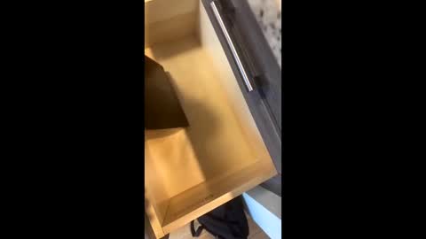 Rainbow Randolf online show from November 22, 7:57 pm