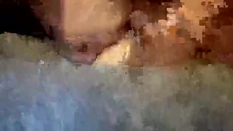 rap0707598343 online show from March 28, 2:44 am