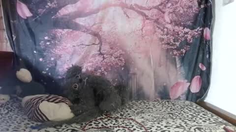 ravenlotus online show from June 25, 7:40 pm