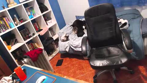 ravingr3d3 online show from February 2, 11:25 pm