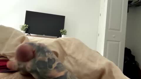 raws33x online show from February 3, 3:50 pm