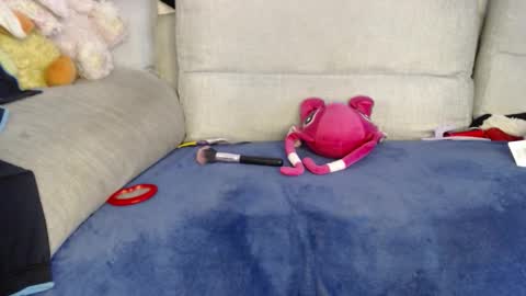 Ray  online show from January 8, 6:32 pm