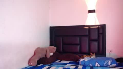 Rayn online show from October 17, 7:33 am