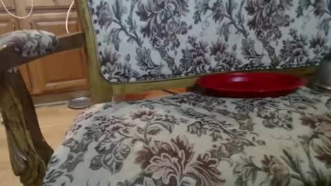 Snapshot of raysmith77777777 chatting on February 1, 5:50 am Ray online show from February 1, 5:50 am