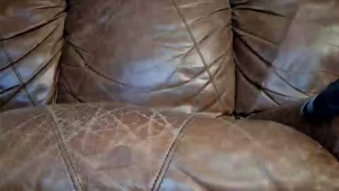 Doyle Wesley Coody III online show from January 15, 7:13 am