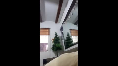 rcellboom online show from January 13, 12:27 am