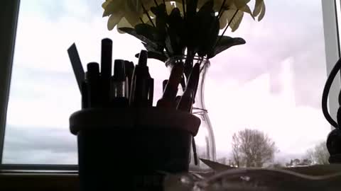 Snapshot of rdrew chatting on April 6, 3:46 pm rdrew online show from April 6, 3:46 pm