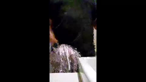 readwithjordanv online show from February 9, 2:10 pm