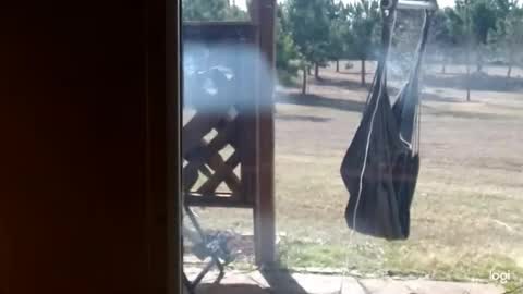 Snapshot of ready4aride2day chatting on February 18, 3:52 pm ready4aride2day online show from February 18, 3:52 pm