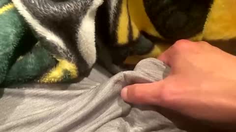 realbigload77 online show from September 20, 2:23 am