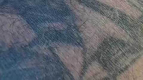 Snapshot of realrubpirate chatting on September 9, 9:31 am realrubpirate online show from September 9, 9:31 am