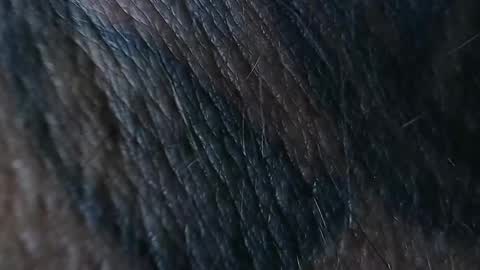 Snapshot of realrubpirate chatting on September 26, 8:51 am realrubpirate online show from September 26, 8:51 am