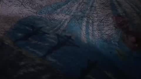 realrubpirate online show from March 22, 7:56 am