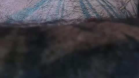 realrubpirate online show from April 15, 9:16 am