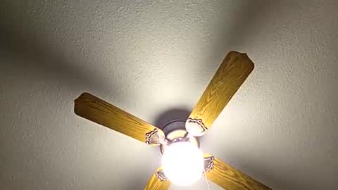 red24devils online show from February 2, 8:07 pm