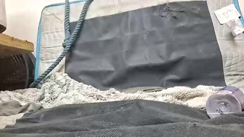 Snapshot of rednicedick chatting on October 16, 1:17 am rednicedick online show from October 16, 1:17 am