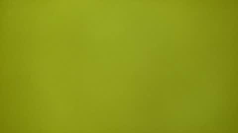 Redplume online show from February 12, 11:16 am