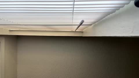 redsoilclay online show from September 27, 10:48 pm