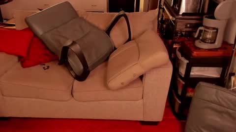 redspider8 online show from September 9, 2:44 am