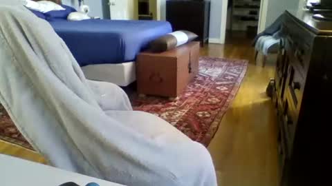 Snapshot of regularguynola chatting on January 24, 6:14 pm RegularGuyNOLA online show from January 24, 6:14 pm