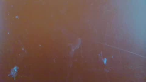 Snapshot of reina_paola chatting on January 29, 6:22 am paola online show from January 29, 6:22 am