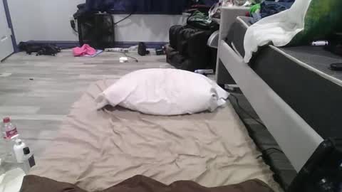 remshotdt online show from February 24, 4:26 pm