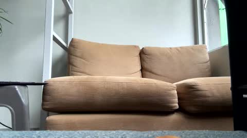 rgneo online show from November 22, 5:56 pm